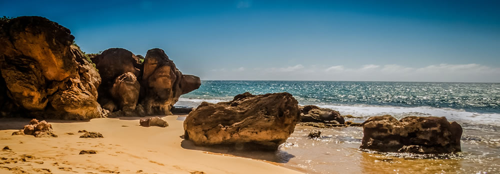 along the beach